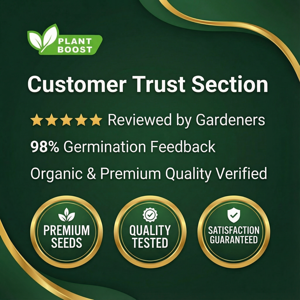 💥LAST DAY SALE 50%OFF💥🌿Premium Rare Hosta Seeds